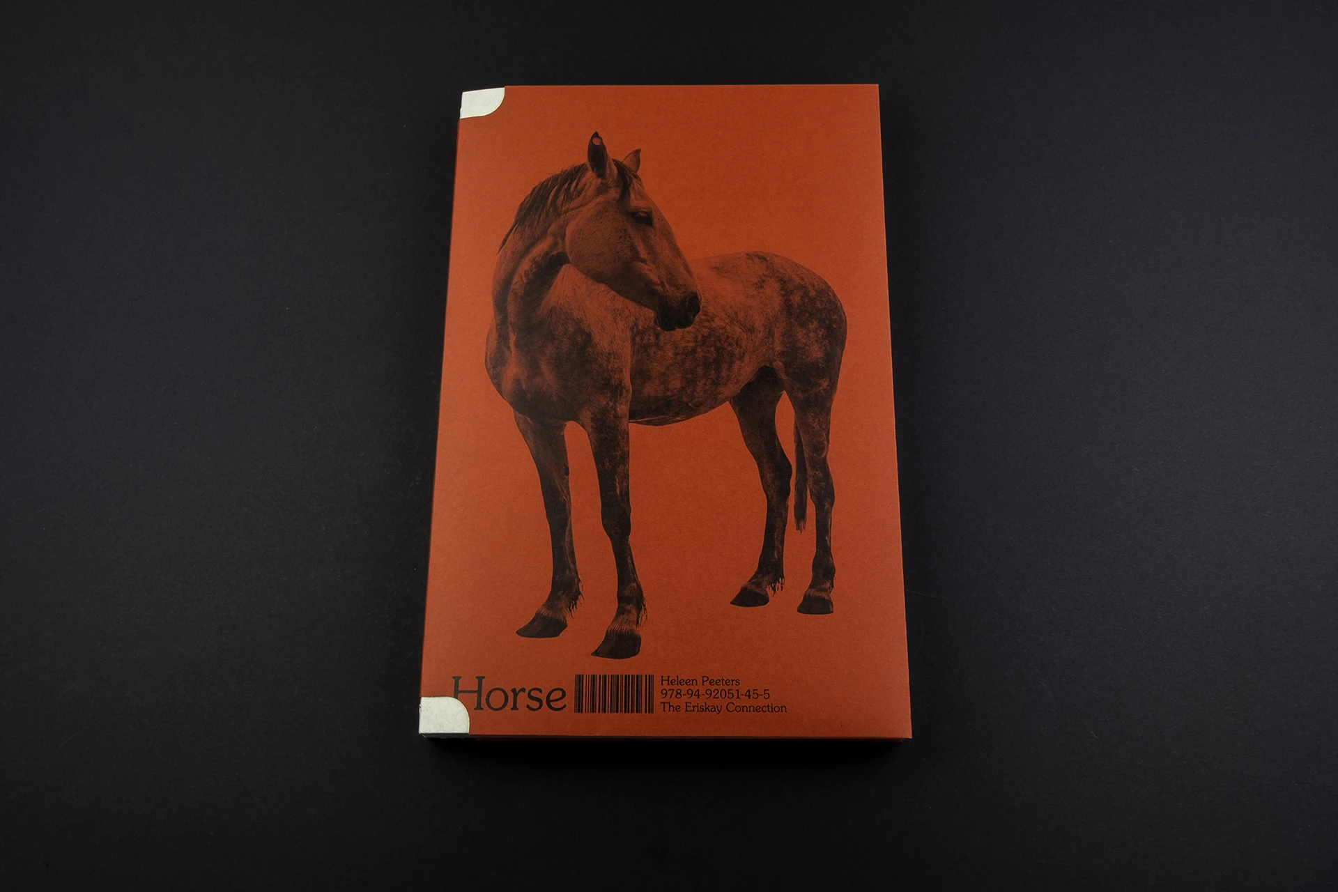 Horse - The Eriskay Connection