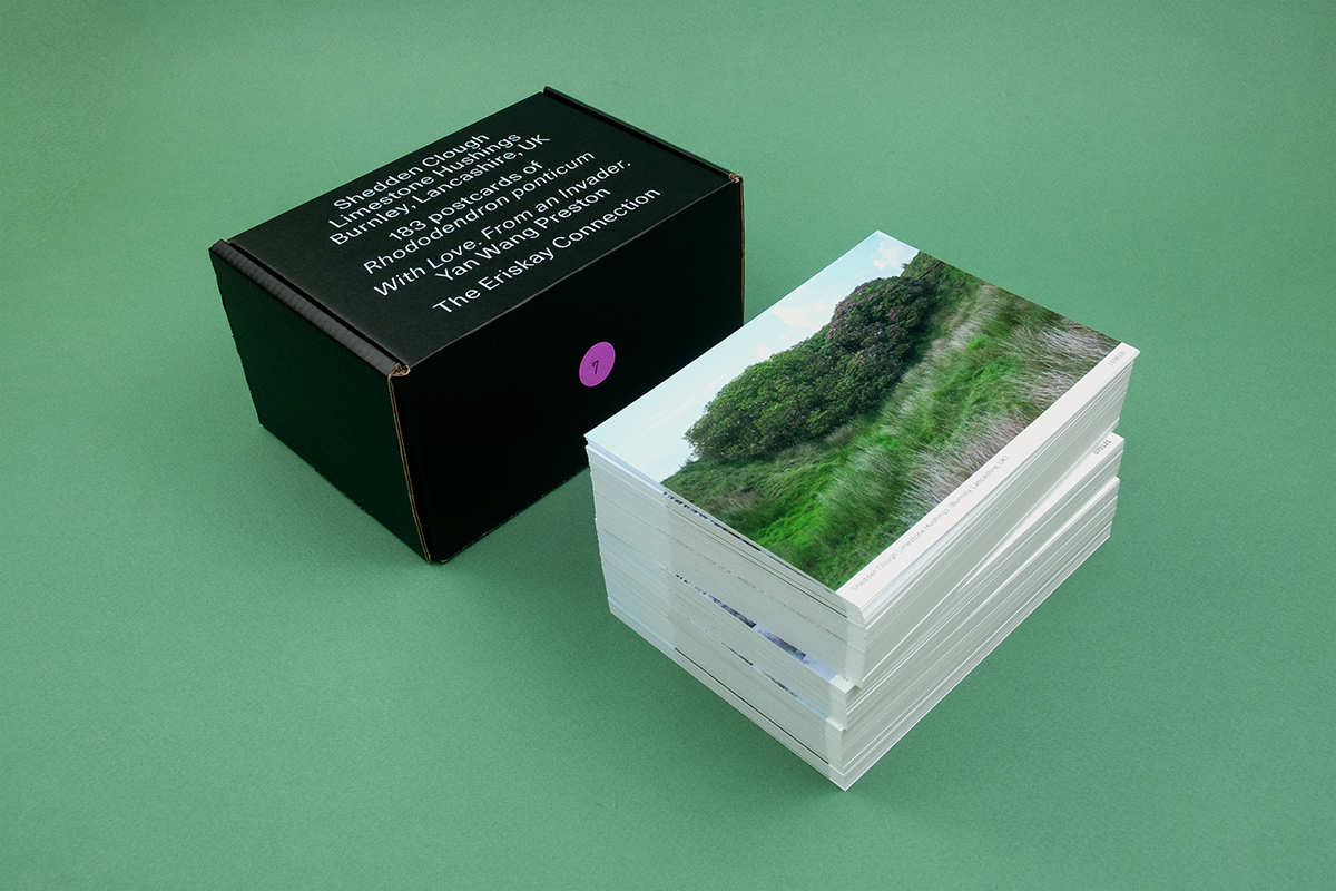 The Eriskay Connection