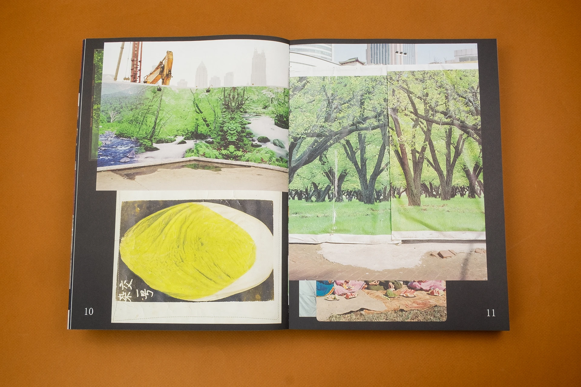 Flowers in the Mirror – A Reader - The Eriskay Connection