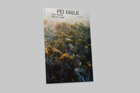 Péi Brilé / Pays brûlé / Burnt Land - Product Image